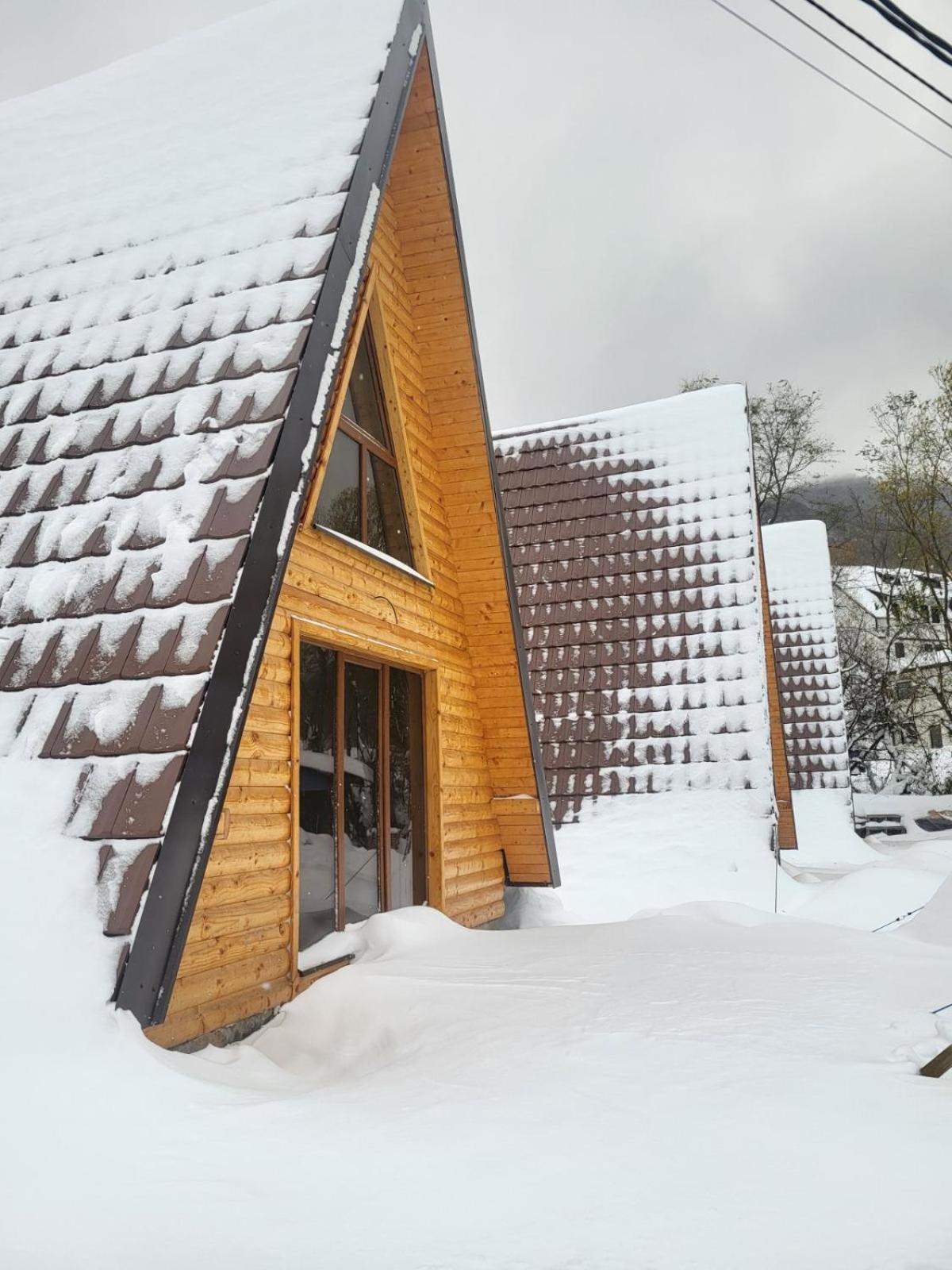 Brvnare Todorovic Villa Crni Vrh Luaran gambar