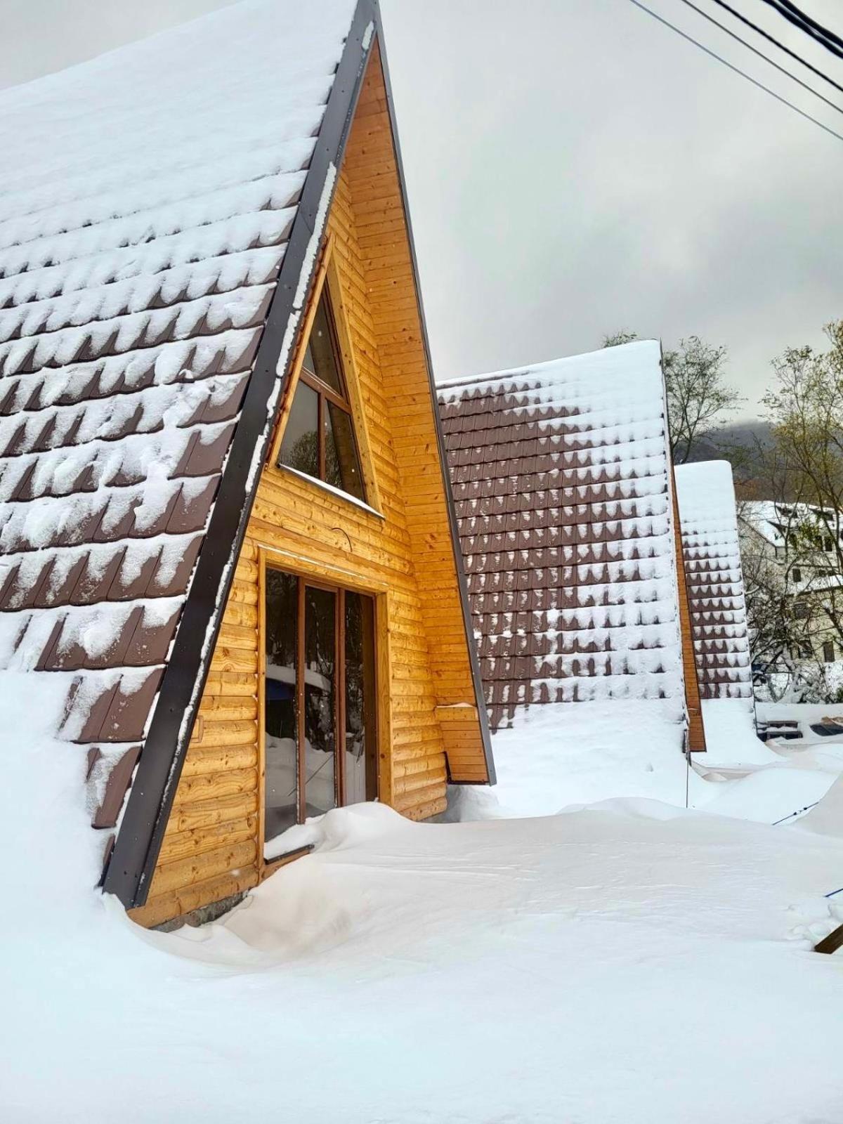Brvnare Todorovic Villa Crni Vrh Luaran gambar